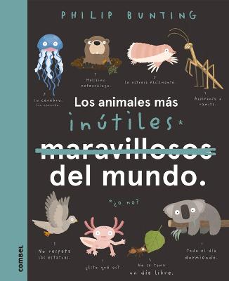 Los Animales Mas Inutiles del Mundo