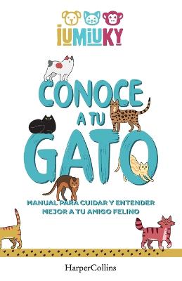 Conoce a tu gato