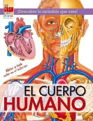 Mi Gran Libro Poster: Cuerpo Humano