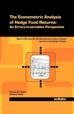 The Econometric Analysis of Hedge Fund Returns