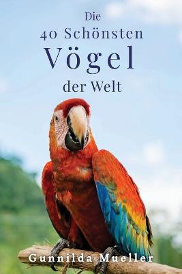 Die 40 Schoensten Voegel der Welt Bilderbuch