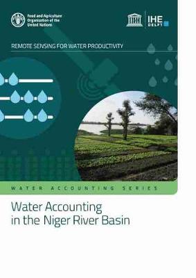 Water accounting in the Niger River Basin