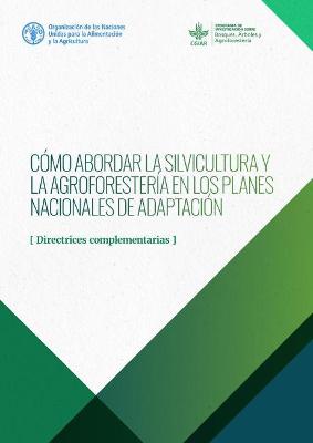 Como abordar la silvicultura y la agroforesteria en los Planes Nacionales de Adaptacion