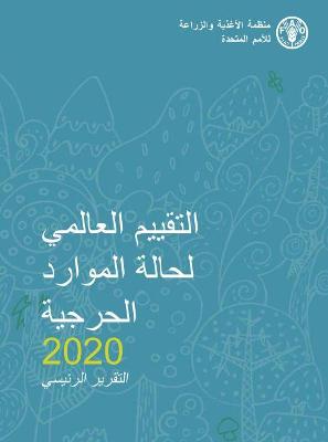 Global Forest Resources Assessment 2020 (Arabic Edition)