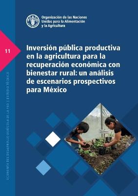 Inversion publica productiva en la agricultura para la recuperacion economica con bienestar rural