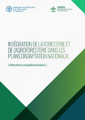 Integration de la foresterie et de l'agroforesterie dans les plans d'adaptation nationaux