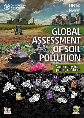 Global assessment of soil pollution