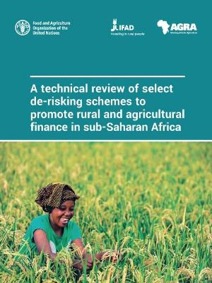 technical review of select de-risking schemes to promote rural and agricultural finance in sub-Saharan Africa
