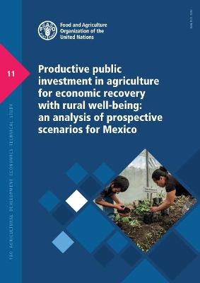 Productive public investment in agriculture for economic recovery with rural well-being