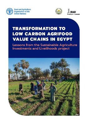 Transformation to low carbon agrifood value chains in Egypt