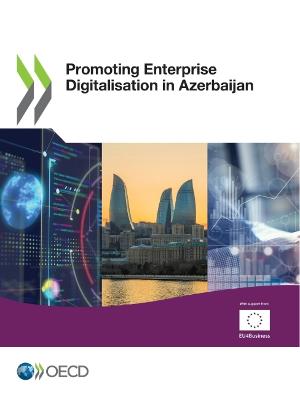 Promoting enterprise digitalisation in Azerbaijan