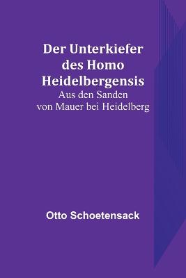 Der Unterkiefer des Homo Heidelbergensis