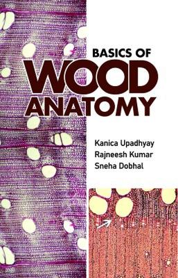 Basics of Wood Anatomy