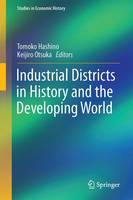 Industrial Districts in History and the Developing World
