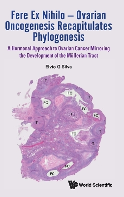 Fere Ex Nihilo - Ovarian Oncogenesis Recapitulates Phylogenesis: A Hormonal Approach To Ovarian Cancer Mirroring The Development Of The Mullerian Tract