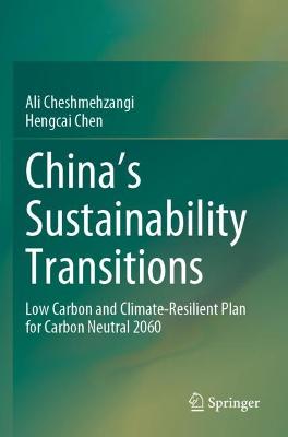China's Sustainability Transitions