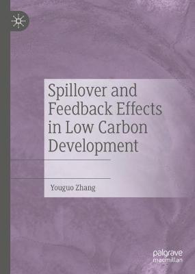 Spillover and Feedback Effects in Low Carbon Development