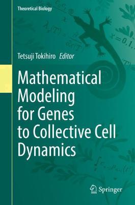Mathematical Modeling for Genes to Collective Cell Dynamics