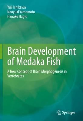 Brain Development of Medaka Fish