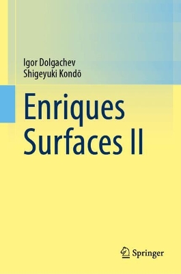 Enriques Surfaces II