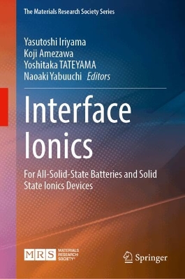 Interface Ionics