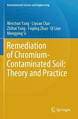 Remediation of Chromium-Contaminated Soil: ?Theory and Practice?