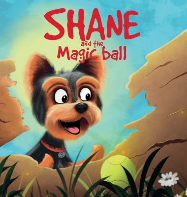 Shane and the magic ball