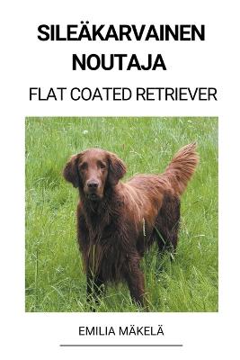 Sileaekarvainen Noutaja (Flat Coated Retriever)