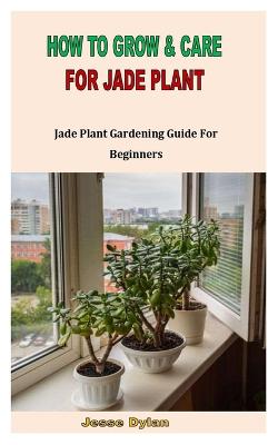 How to Grow & Care for Jade Plant