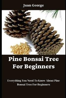 Pine Bonsai Tree For Beginners