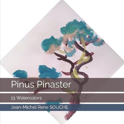 Pinus Pinaster.