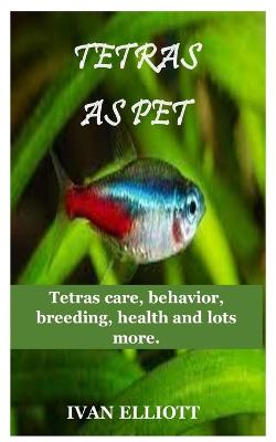 Tetras as Pet