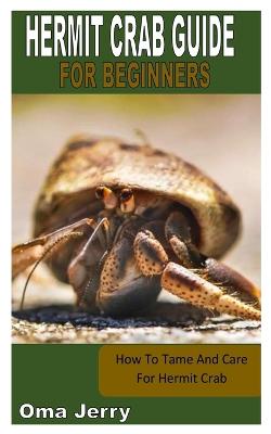 Hermit Crab Guide for Beginners