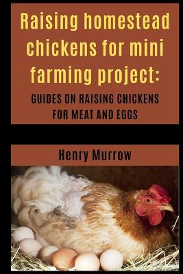 Raising homestead chickens for mini farming project