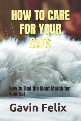 How to Care for Your Cats