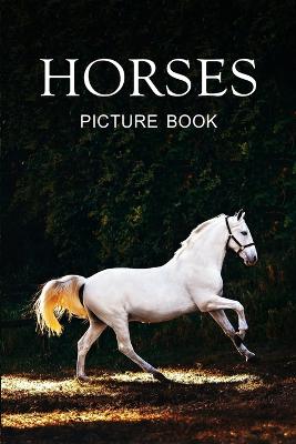 Horse Picture Books for Adults