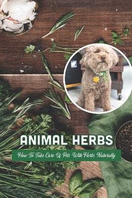 Animal Herbs