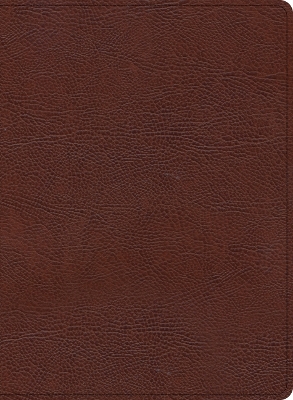 KJV Study Bible, Large Print Edition, Brown Bonded Leather