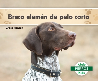 Braco Aleman de Pelo Corto (German Shorthaired Pointers)