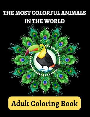 Adult Coloring Book