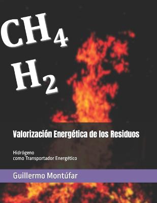 Valorizacion Energetica de los Residuos