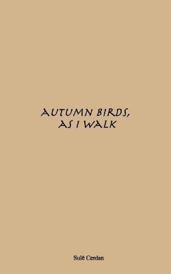 Autumn birds, as I walk