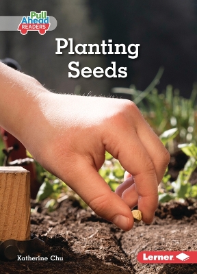 Planting Seeds