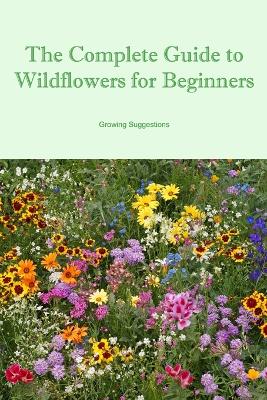 Complete Guide to Wildflowers for Beginners