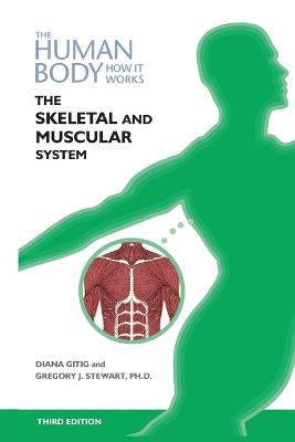 The Skeletal and Muscular Systems