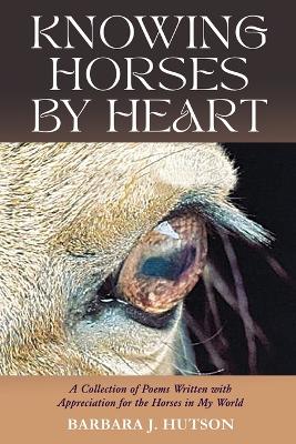 Knowing Horses by Heart