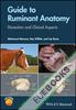 Guide to Ruminant Anatomy : Dissection and Clinical Aspects