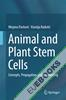 Animal and Plant Stem Cells