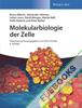 Molekularbiologie der Zelle